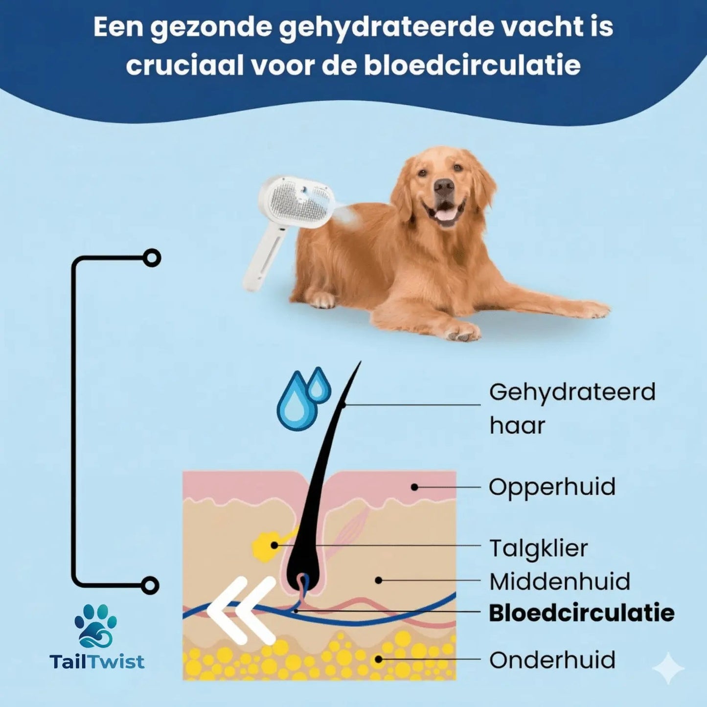 SteamBrush Stoomborstel - TailTwist