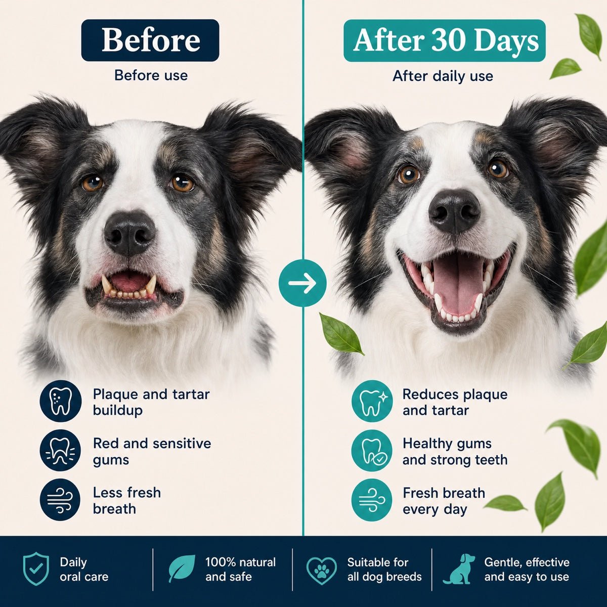Before and after using DentalWipes