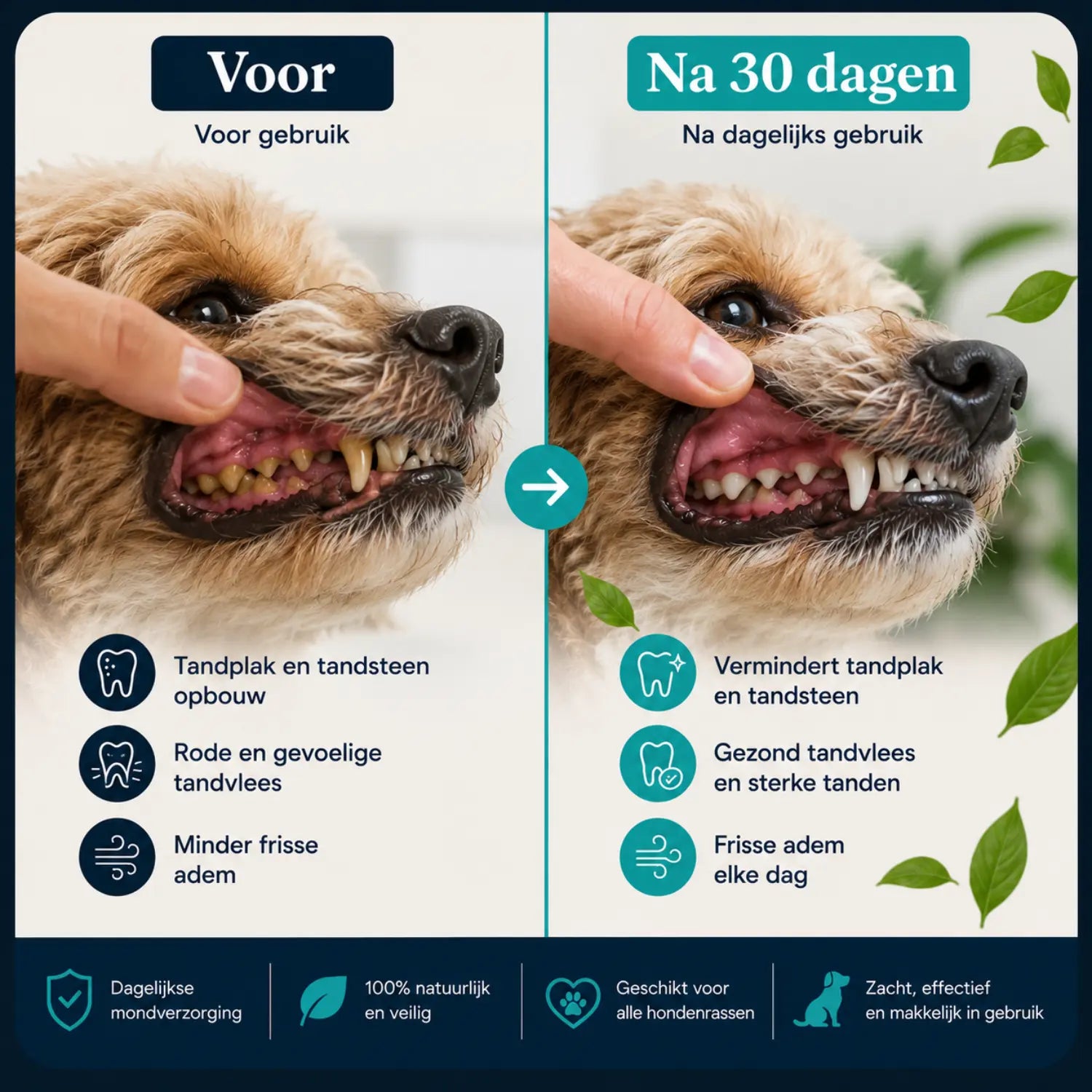 Voor en na DentalWipes gebruik