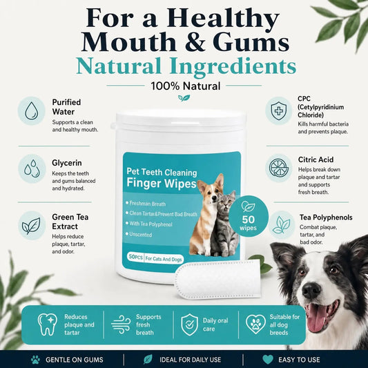 DentalWipes US - TailTwist