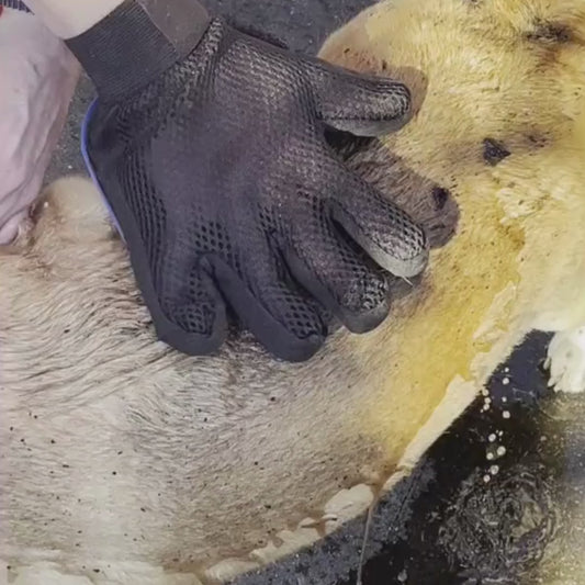 HydroPaw Verzorgingshandschoen