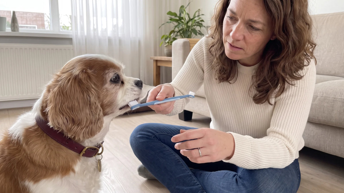 Sanne zit op de vloer en probeert met een dubbelzijdige hondentandenborstel Luna's tanden te bereiken; Luna houdt haar bek dicht.