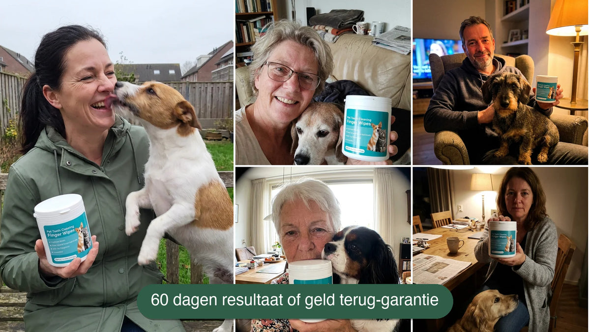 Collage van foto's van hondenbaasjes tussen de 40 en 65 jaar die de DentalWipes-pot vasthouden, sommigen samen met hun hond, met daarop de tekst: 60 dagen resultaat of geld terug-garantie.