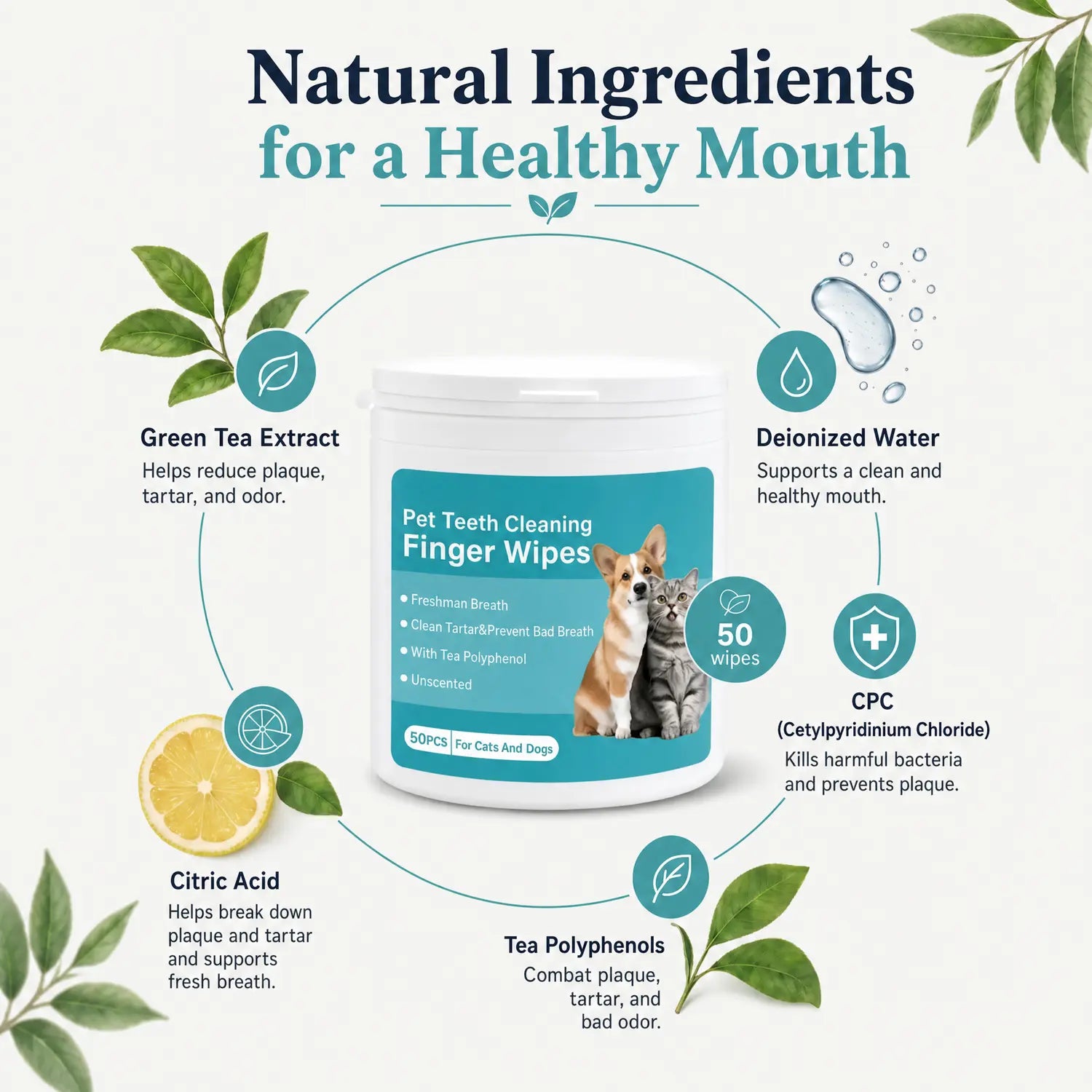 DentalWipes™ natural ingredients