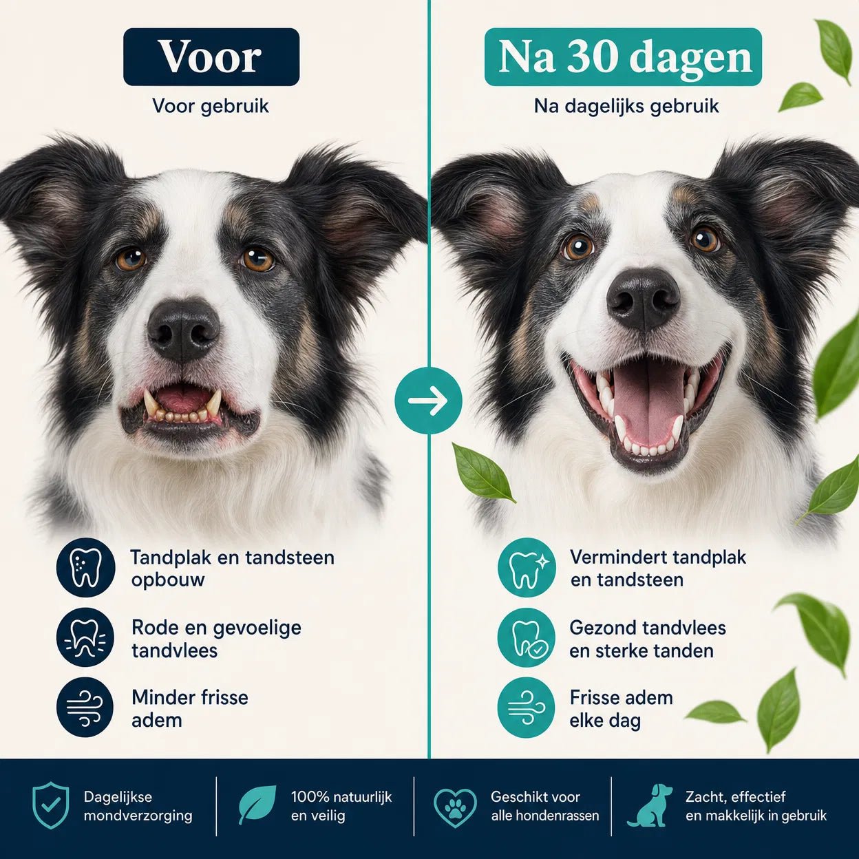 Voor en na 30 dagen DentalWipes™