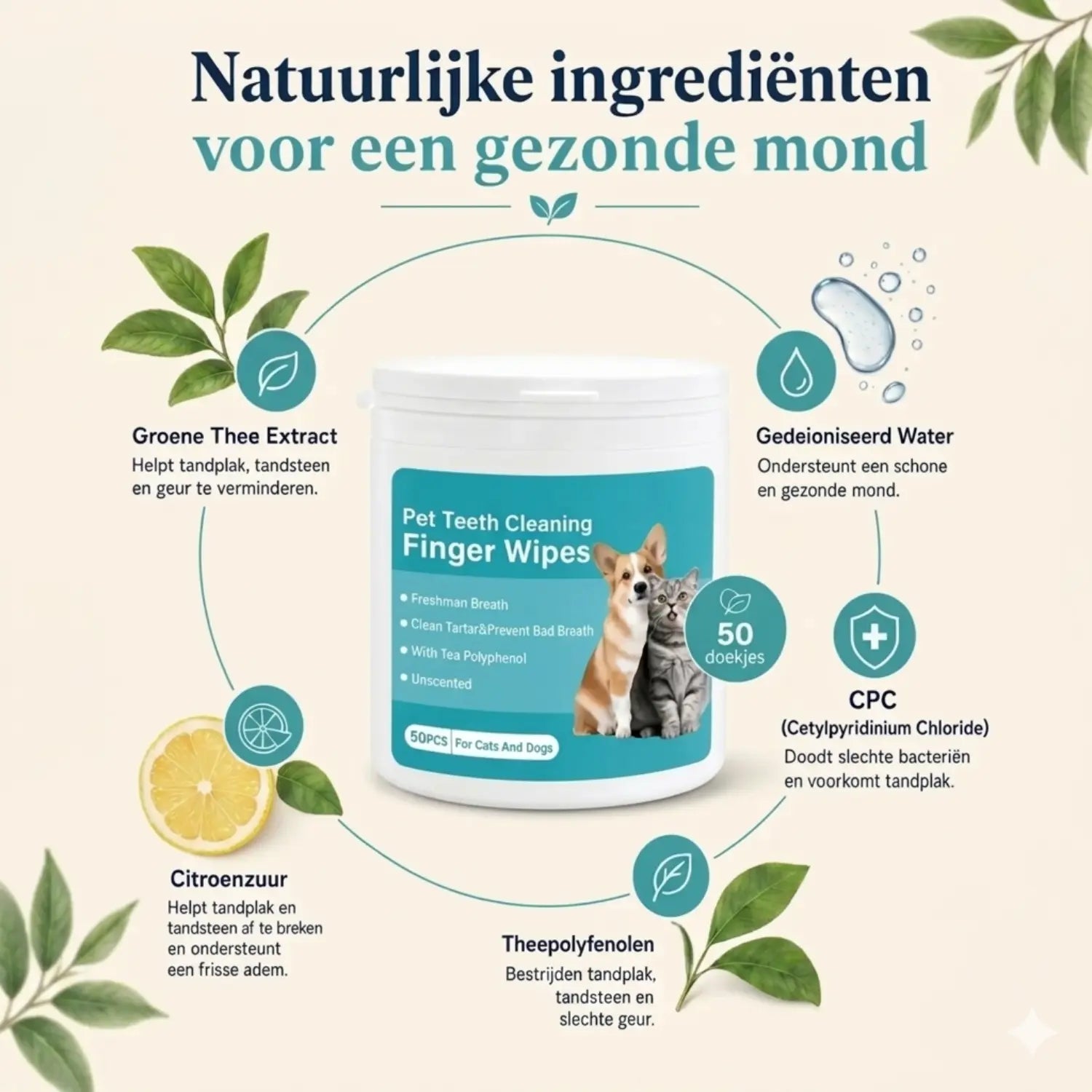 DentalWipes™ natuurlijke ingrediënten