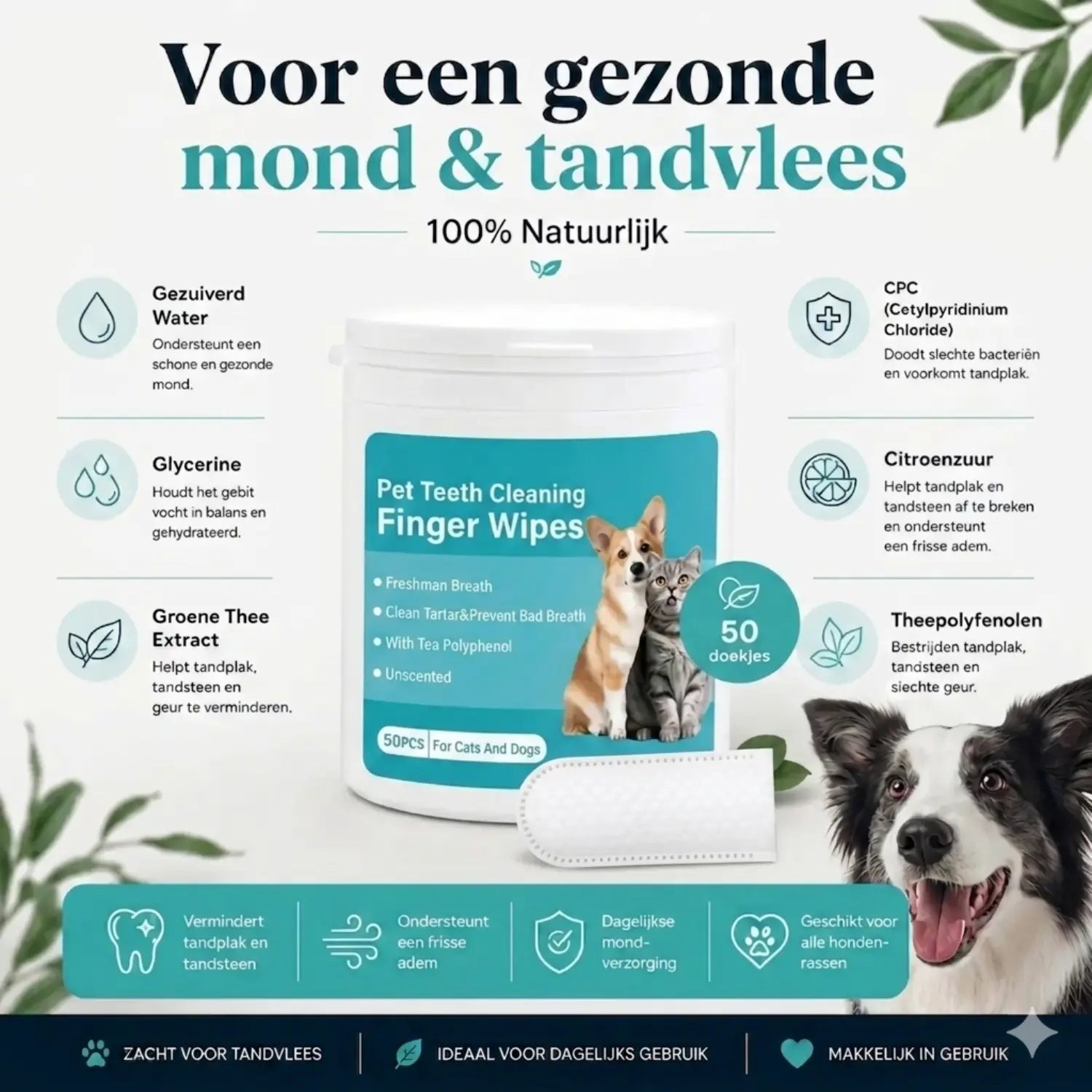 DentalWipes™ ingrediënten overzicht